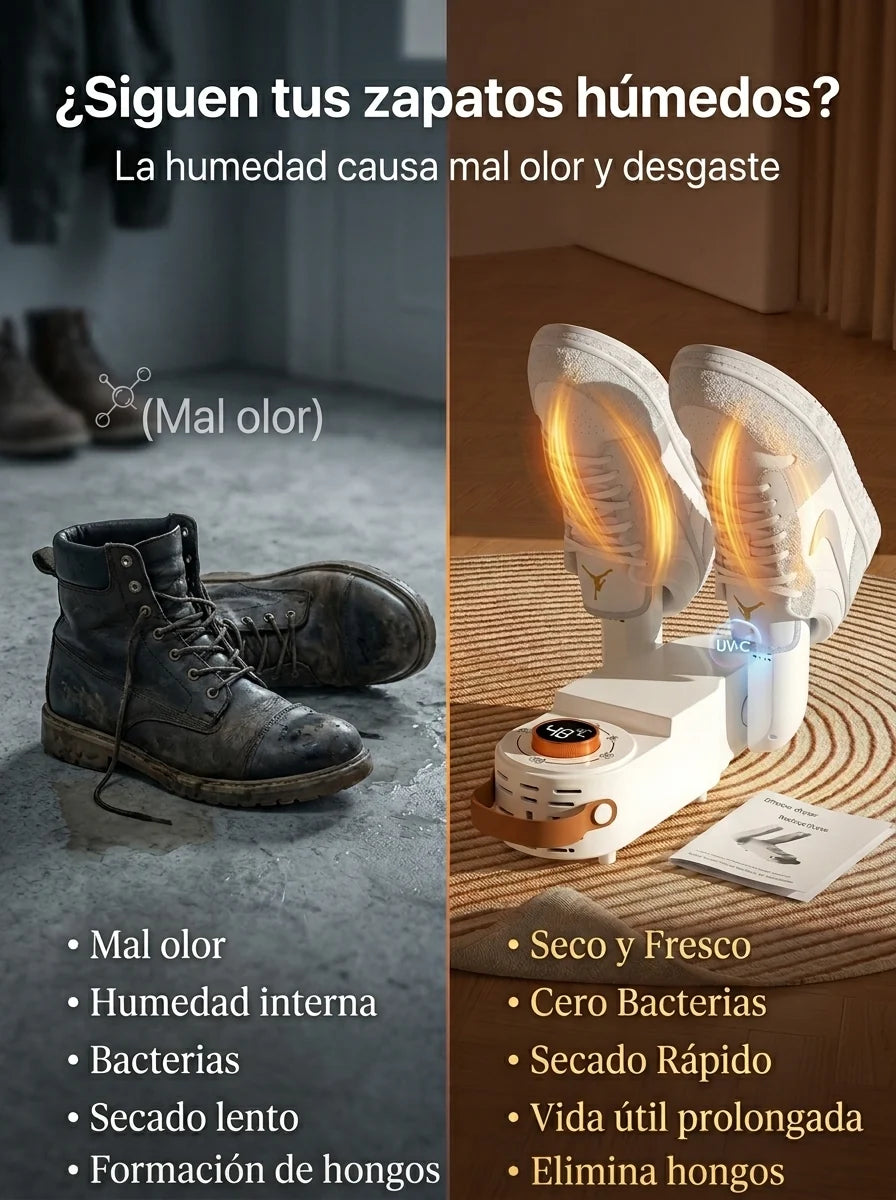 DrySec Pro: El Secador Inteligente de Zapatos