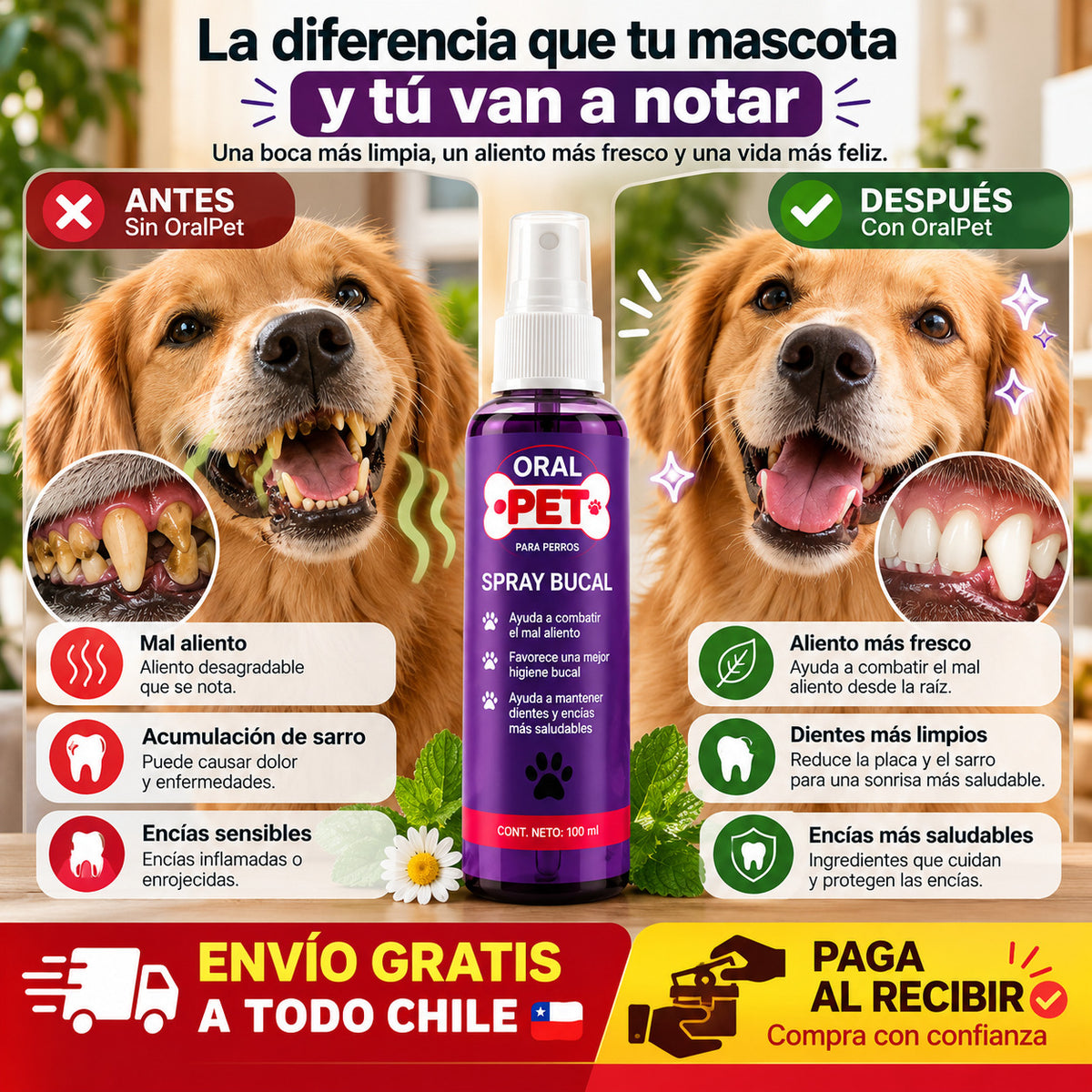 OralPet Smile Pro:Elimina el mal aliento de tu mascota